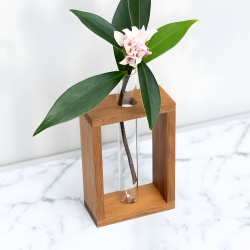 Glass Planter With Wooden Base